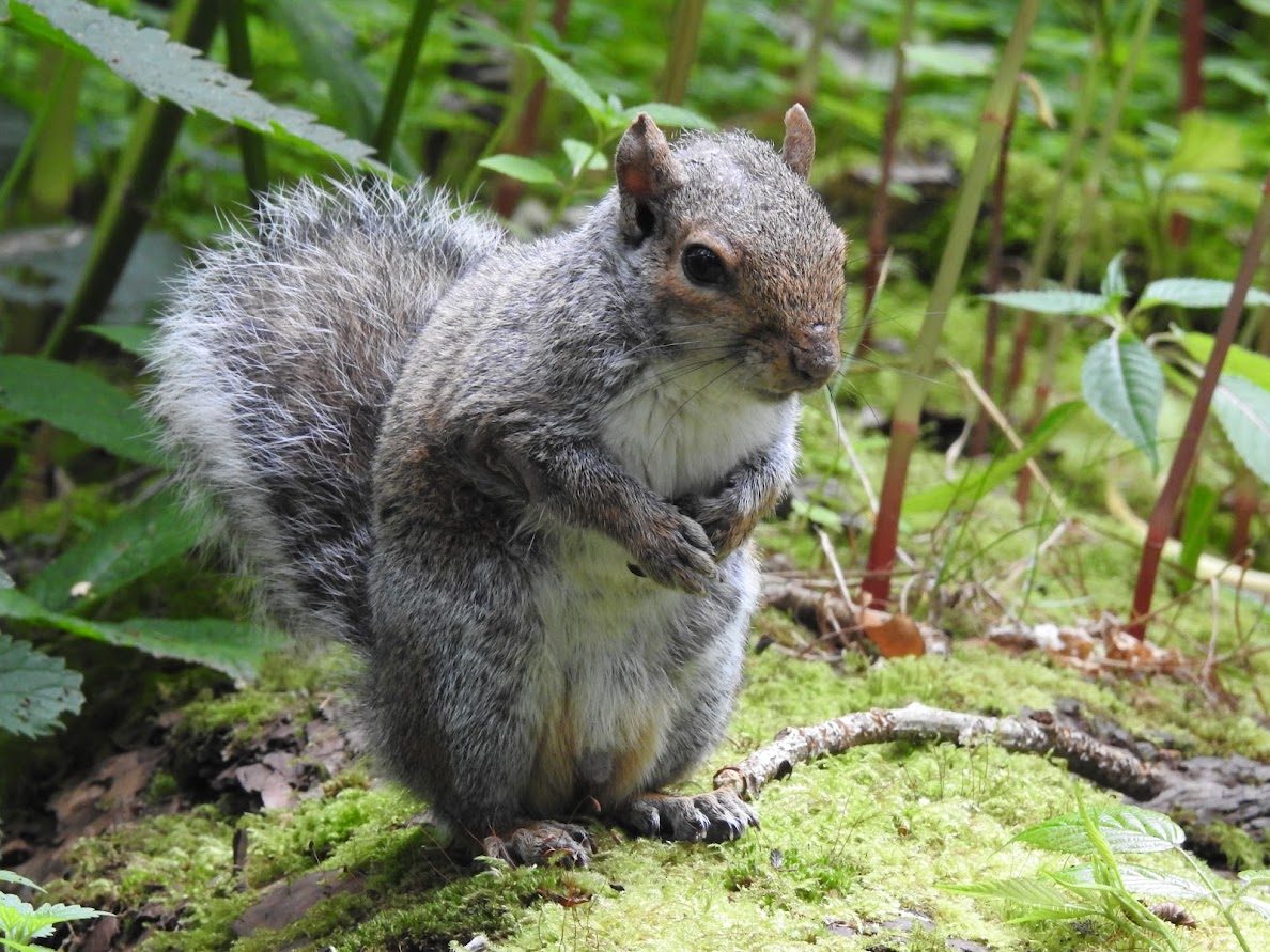 A Friendly Fellow