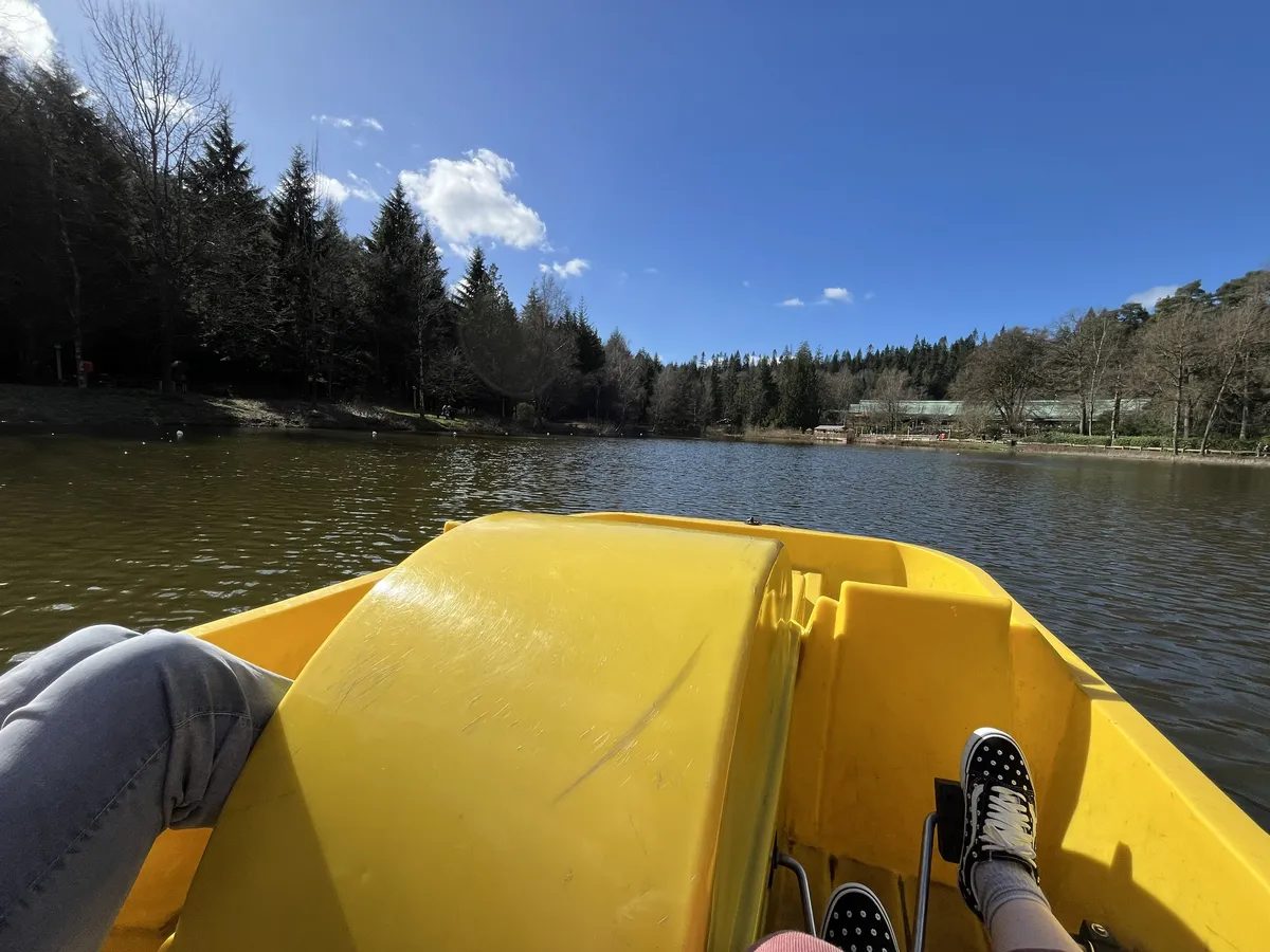 Pedalo