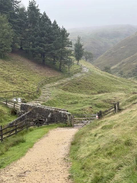 Jacob's Ladder